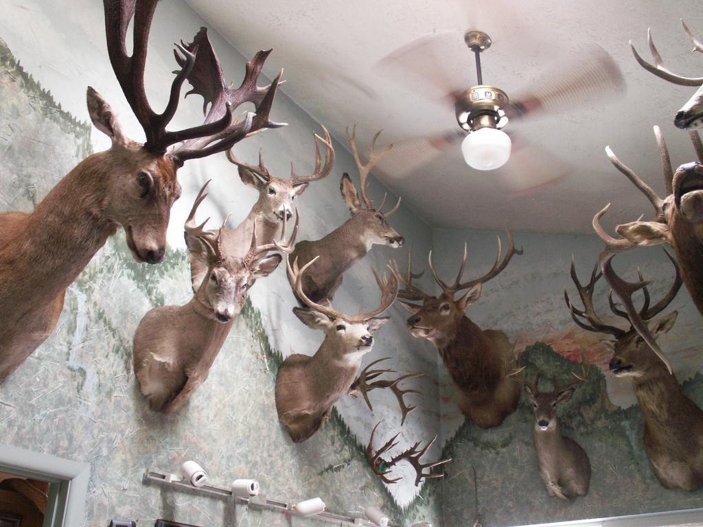 Whitebird Summit Lodge Grangeville ภายนอก รูปภาพ