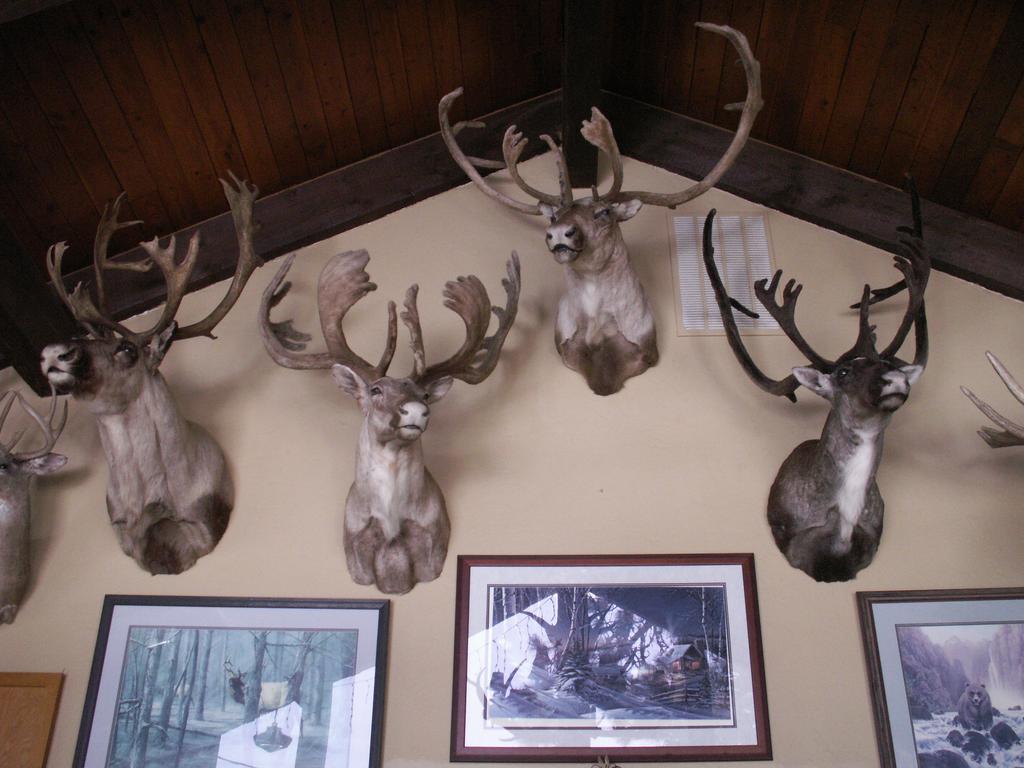 Whitebird Summit Lodge Grangeville ภายนอก รูปภาพ