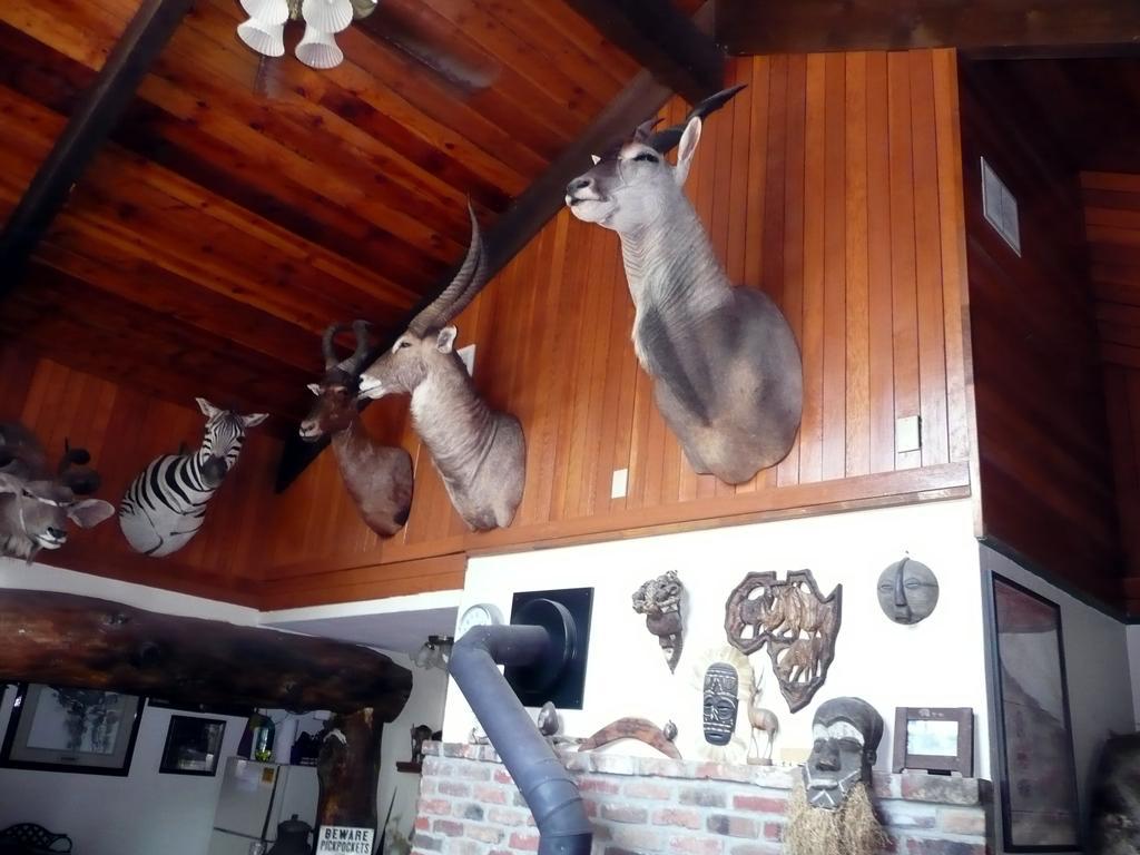 Whitebird Summit Lodge Grangeville ภายนอก รูปภาพ