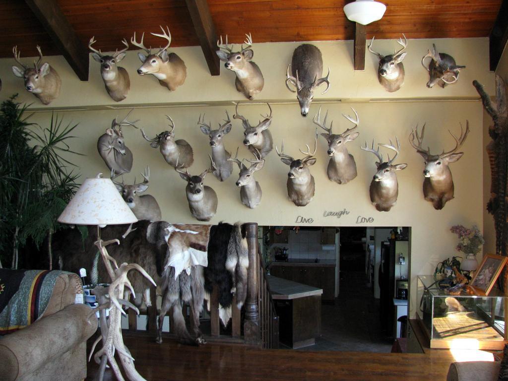 Whitebird Summit Lodge Grangeville ภายนอก รูปภาพ