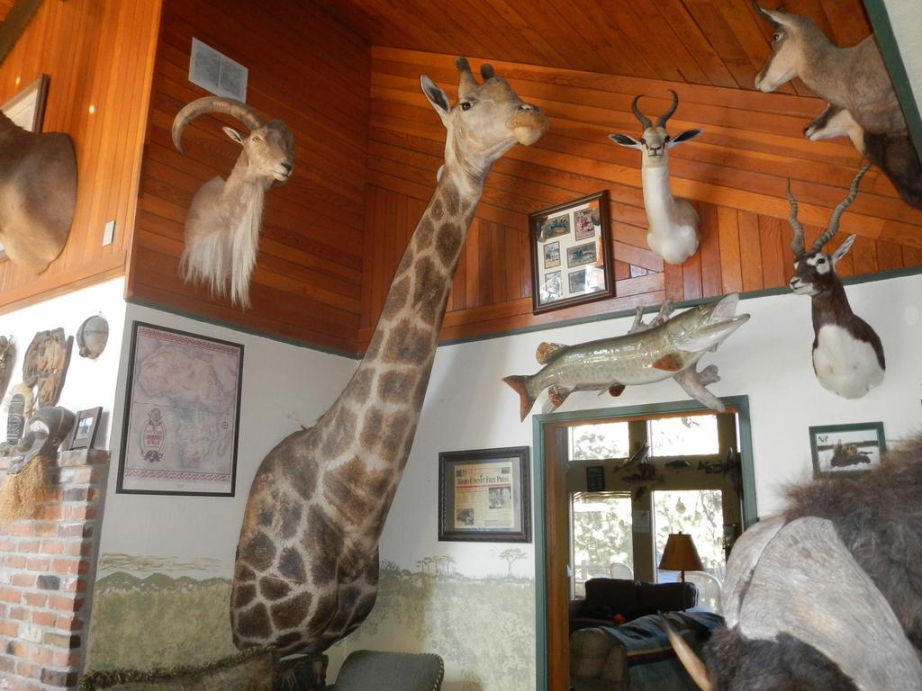 Whitebird Summit Lodge Grangeville ภายนอก รูปภาพ
